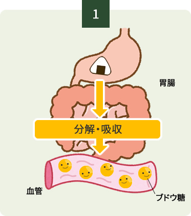 血糖値が上がる仕組み