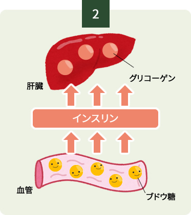 血糖値が上がる仕組み